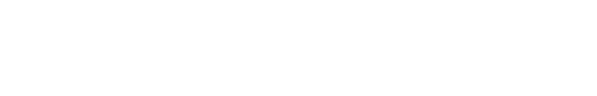 LIXNET Logo